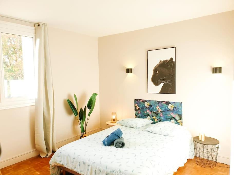 Cosy Mure 4Ch - Stationnement Gratuit Pau Εξωτερικό φωτογραφία